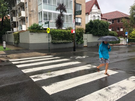 Pedestrian in a crosswalk